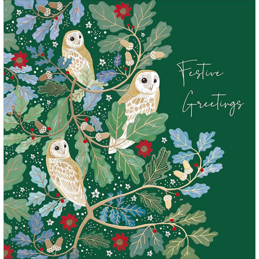 National Trust Festive Owls Christmas Card