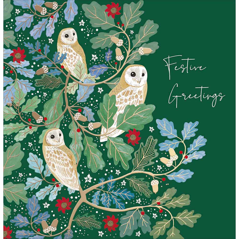 National Trust Festive Owls Christmas Card