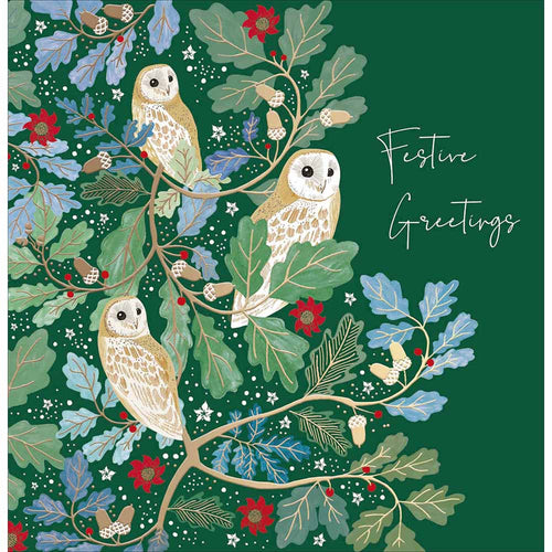 National Trust Festive Owls Christmas Card