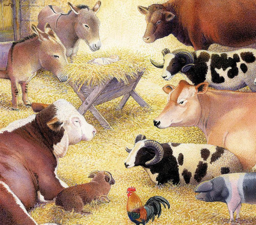 5 Animals to the Manger Charity Christmas Cards - House of Cards