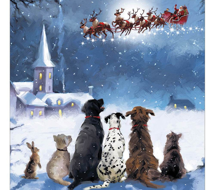 5 Dogs Waiting For Santa Charity Christmas Cards - House of Cards