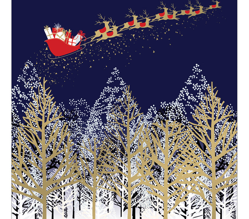 Box of 8 Santas Sleigh Over Woodland Christmas Cards