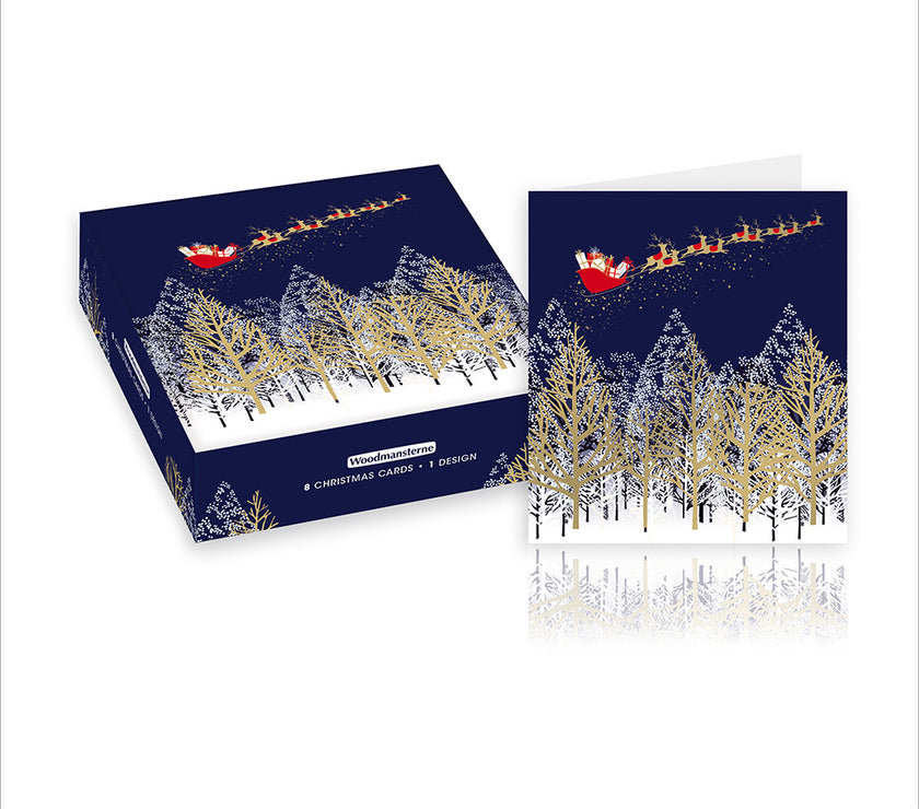 Box of 8 Santas Sleigh Over Woodland Christmas Cards