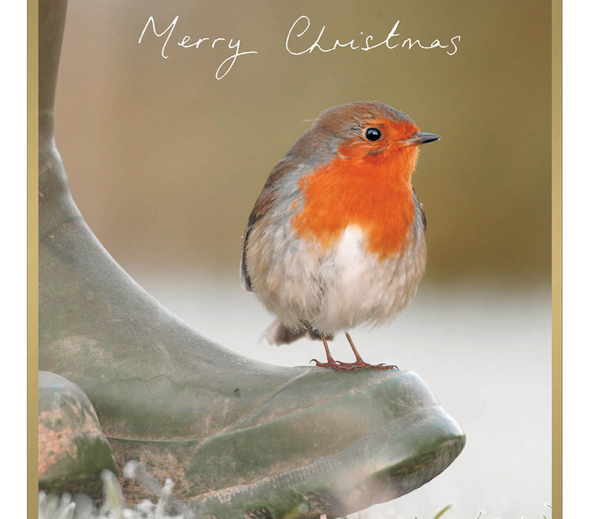 Box of 8 Robin on Boot Christmas Cards
