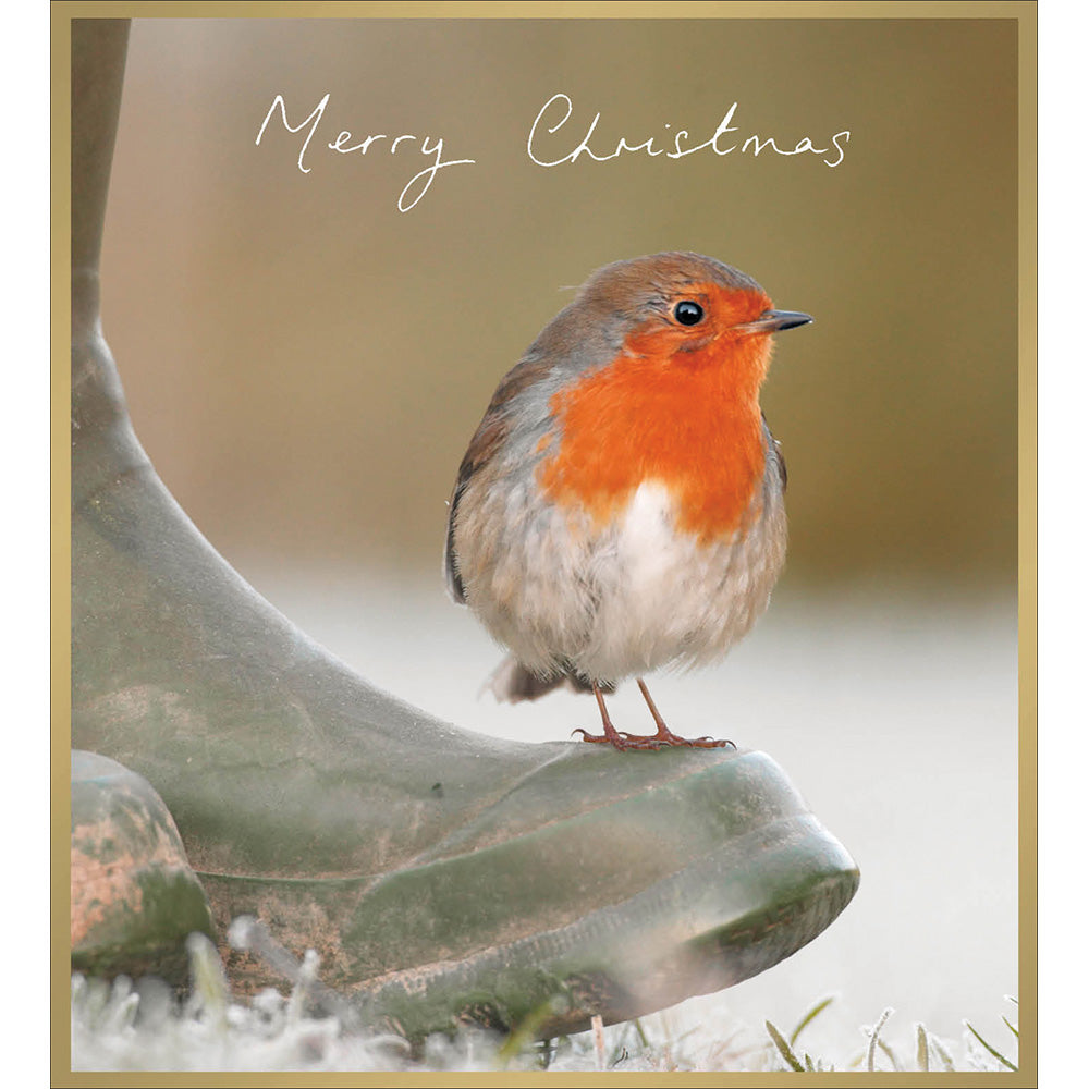 Box of 8 Robin on Boot Christmas Cards