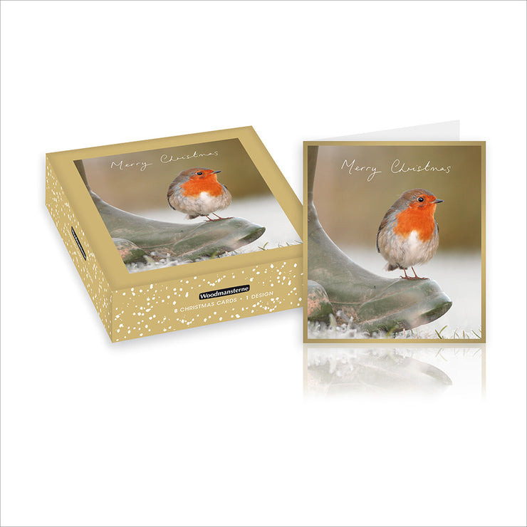 Box of 8 Robin on Boot Christmas Cards