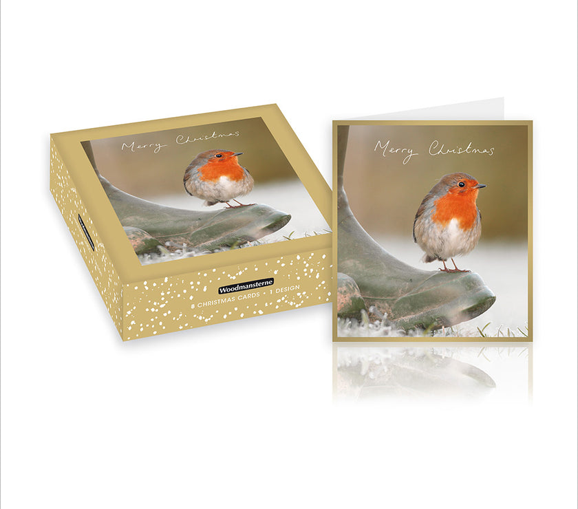 Box of 8 Robin on Boot Christmas Cards