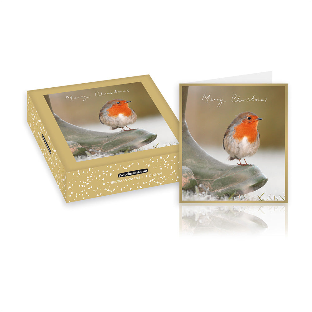 Box of 8 Robin on Boot Christmas Cards