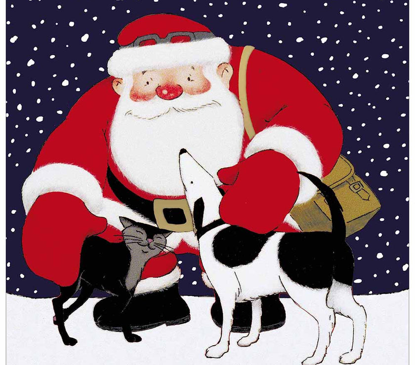 Box of 6 Raymond Briggs Father Christmas Cards