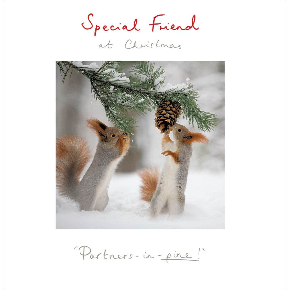 Squirrel Special Friend Christmas Card - House of Cards