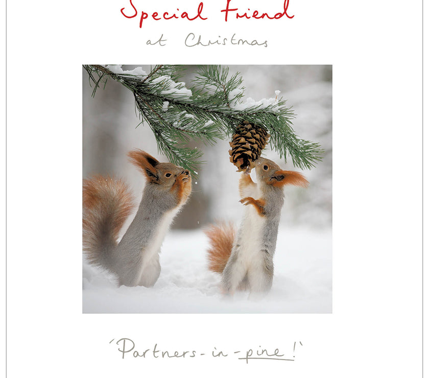 Squirrel Special Friend Christmas Card