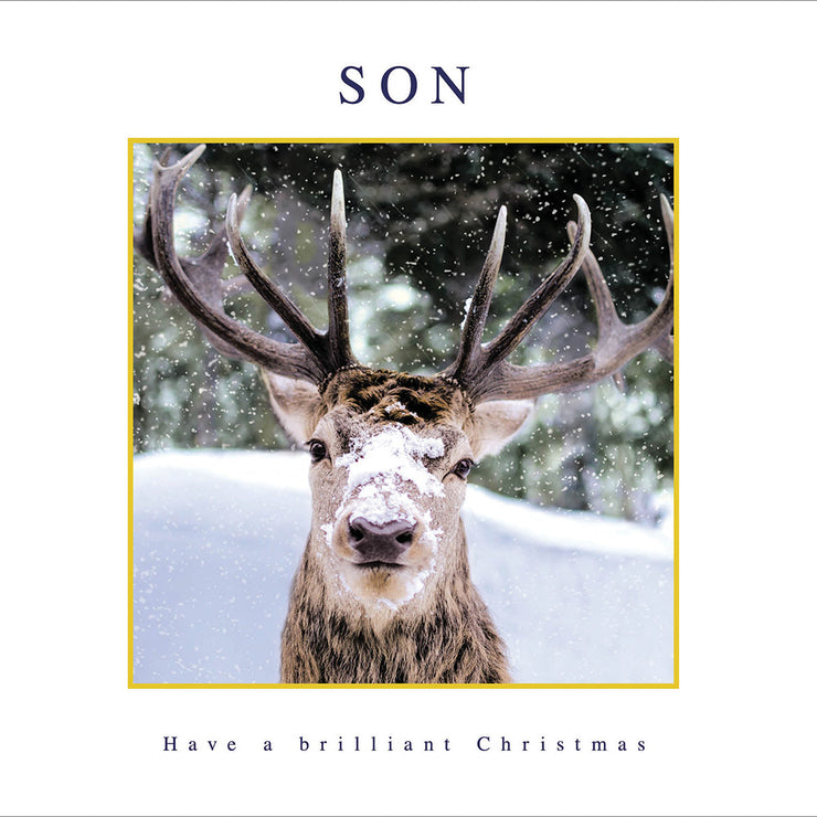 Son Reindeer Christmas Card