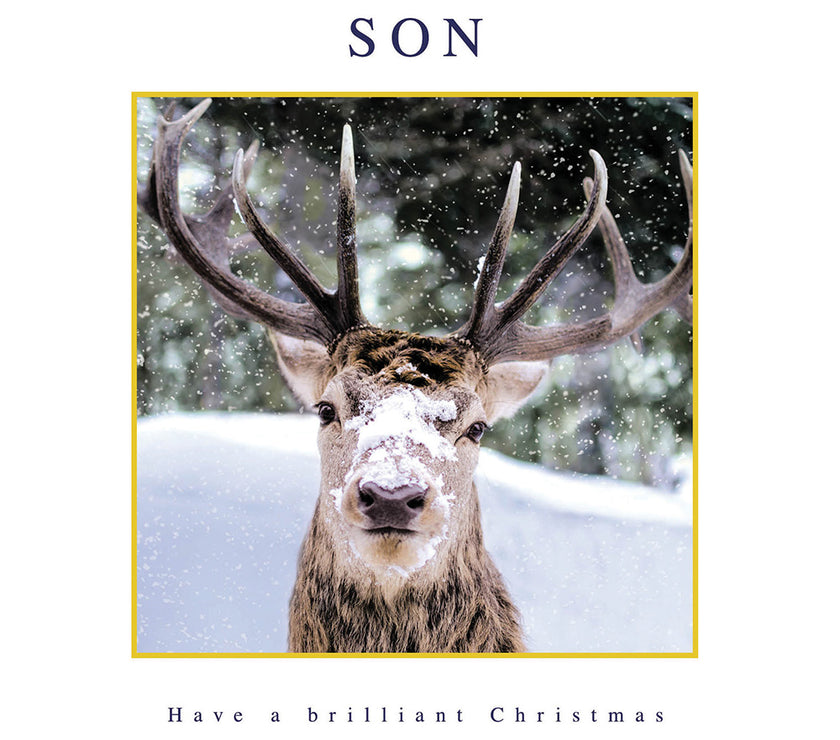 Son Reindeer Christmas Card
