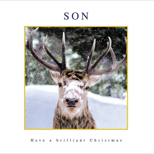 Son Reindeer Christmas Card