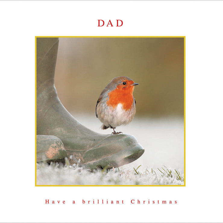 Robin on Boot Dad Christmas Card
