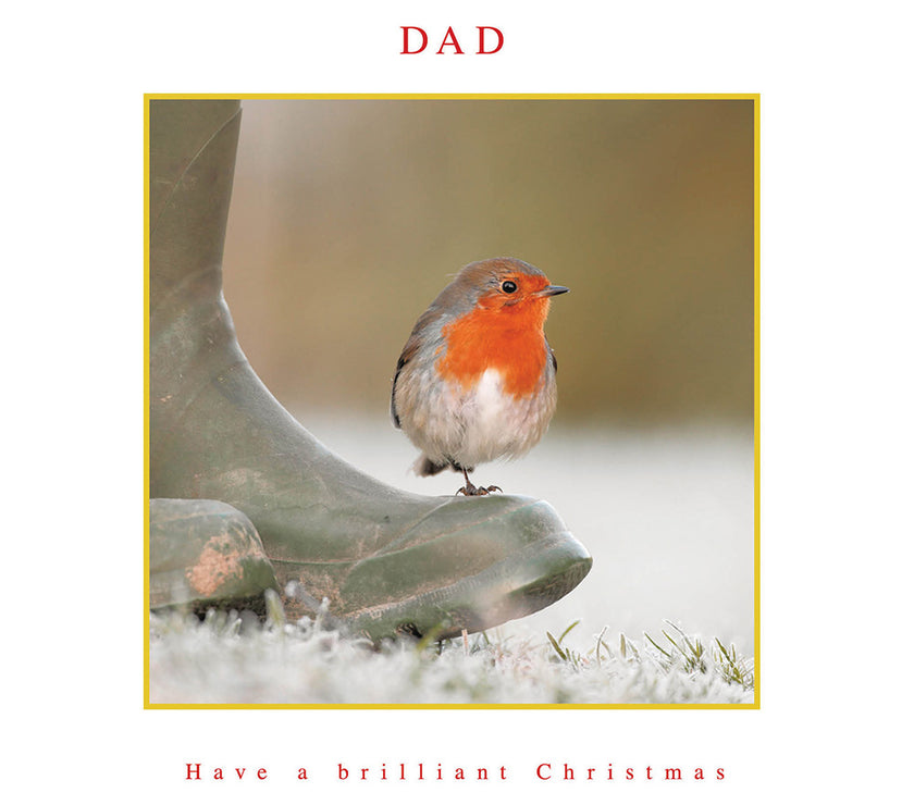 Robin on Boot Dad Christmas Card