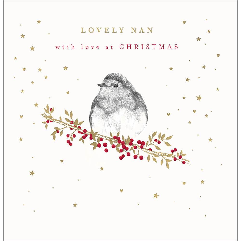 Lovely Nan Robin Christmas Card - House of Cards