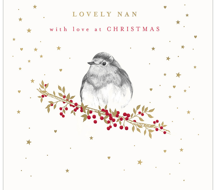 Lovely Nan Robin Christmas Card