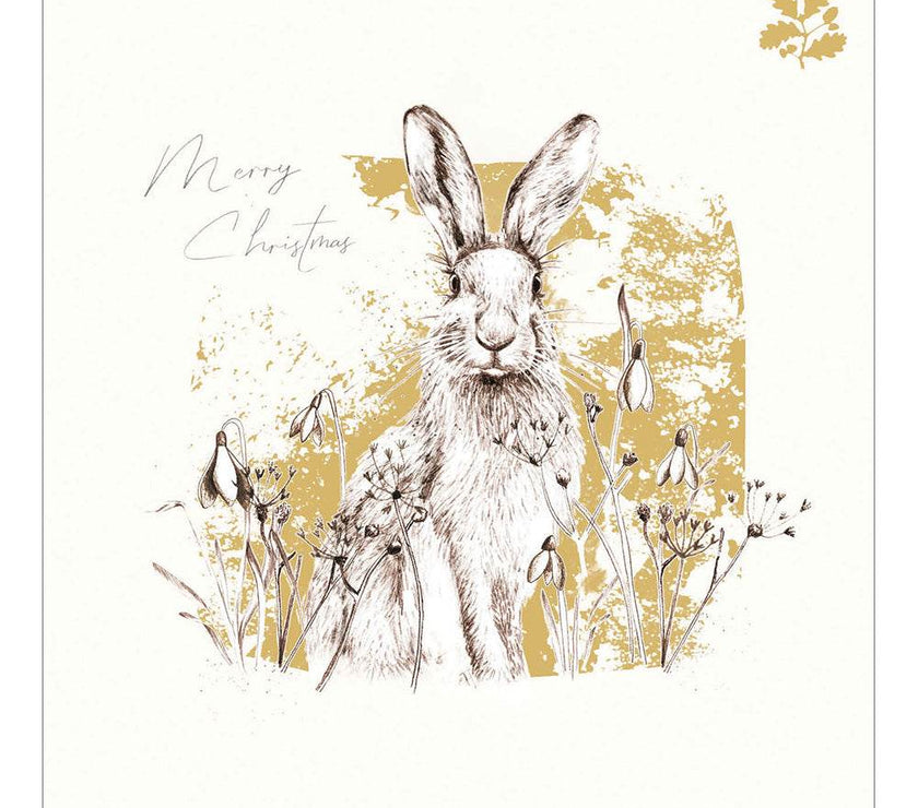 5 Hare National Trust Habitat Charity Christmas Cards - House of Cards