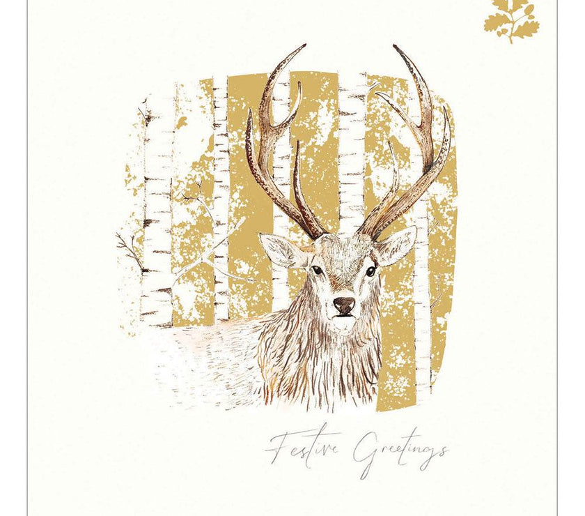 5 Deer National Trust Habitat Charity Christmas Cards - House of Cards