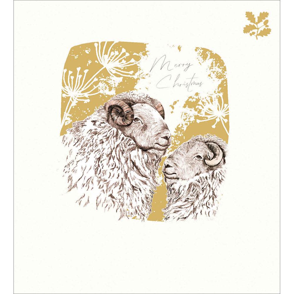 5 Sheep National Trust Habitat Charity Christmas Cards - House of Cards