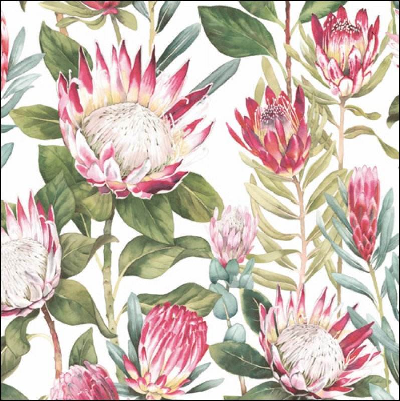 King Protea Greeting Card - House of Cards