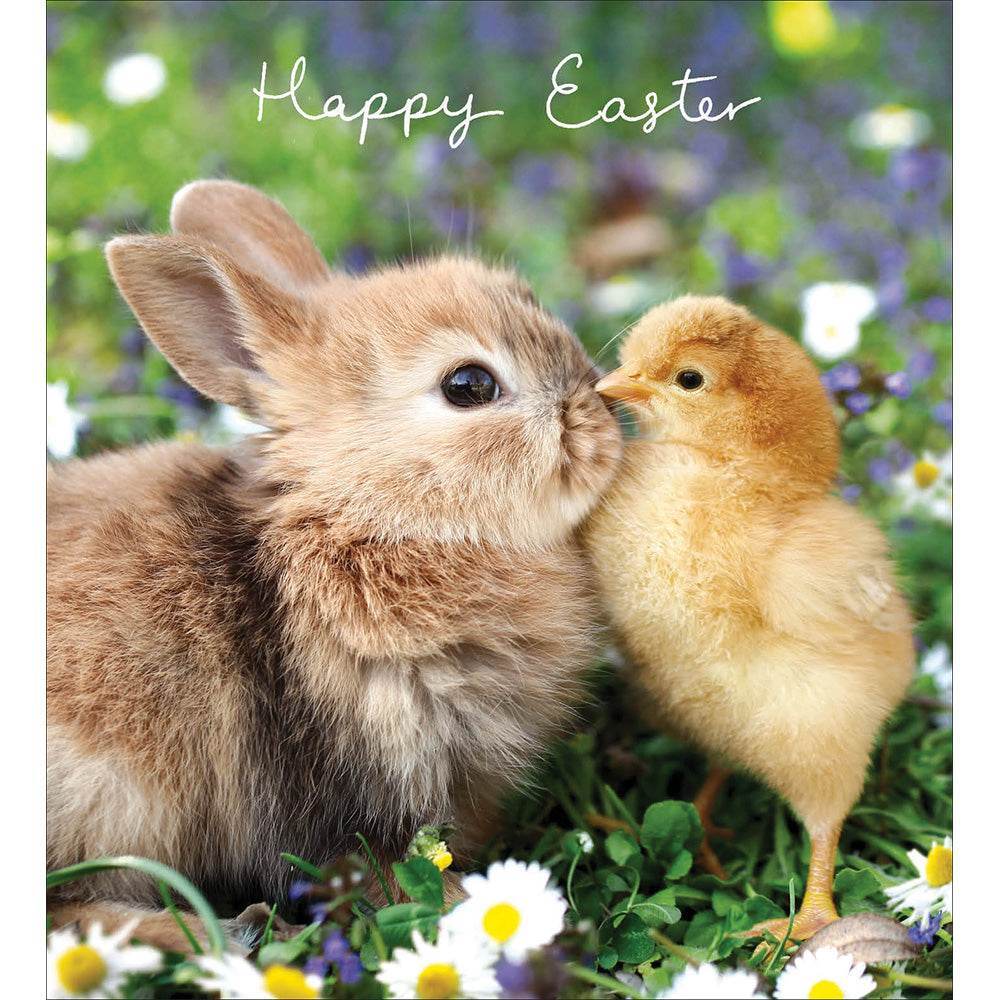 Bunny and Chick Easter Cards - House of Cards