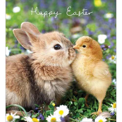 Bunny and Chick Easter Cards