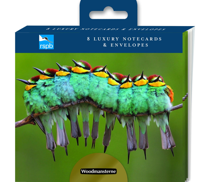 RSPB European Bee-Eaters Notelets