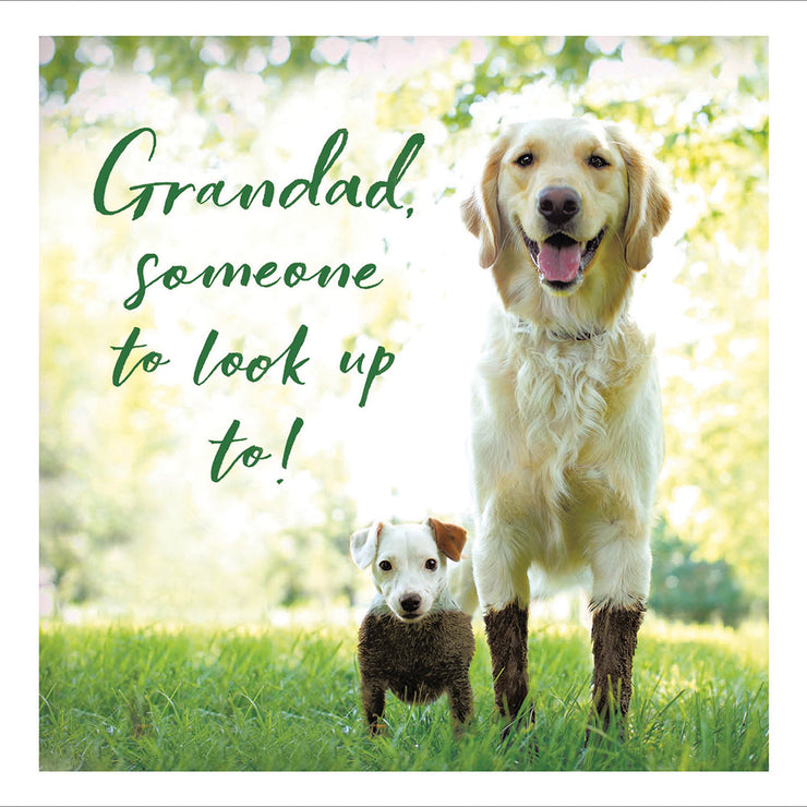Dogs Grandad Fathers Day Card