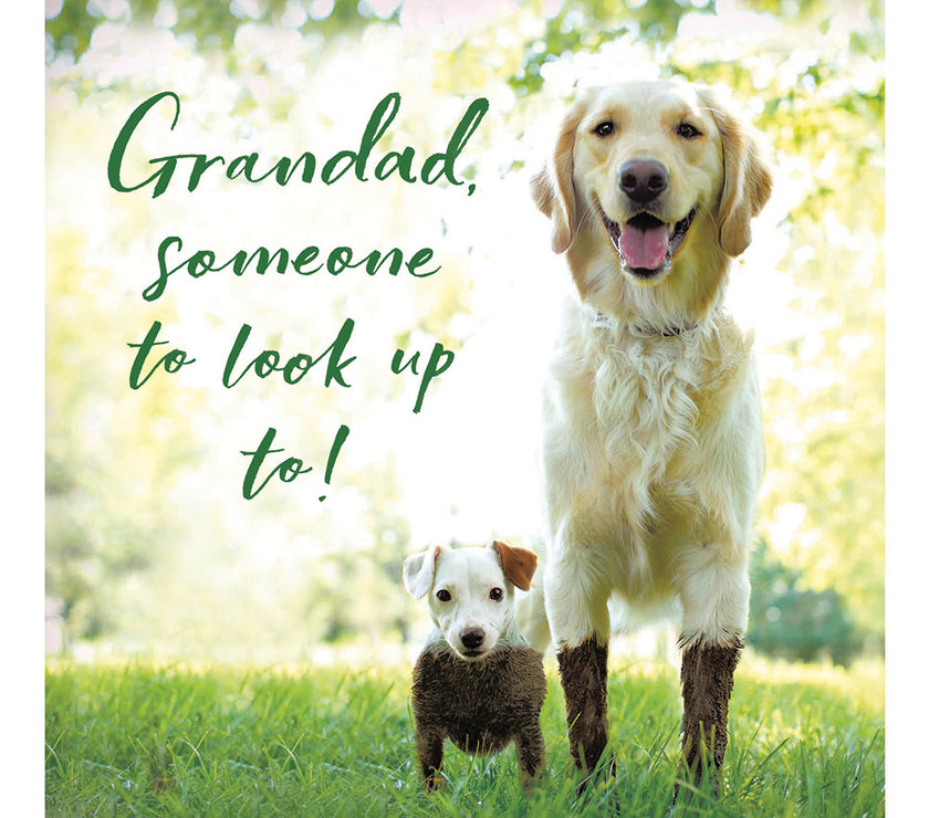 Dogs Grandad Fathers Day Card