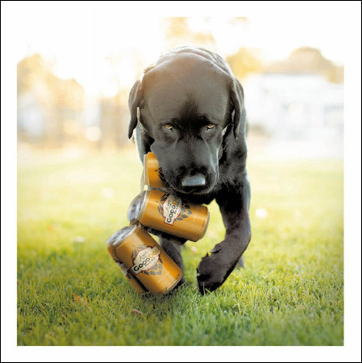 Brewer The Weekend Warrior Loose Leashes Greeting Card by Ron Schm