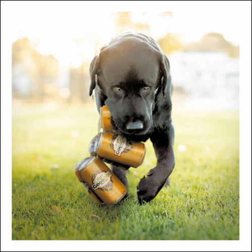 Brewer The Weekend Warrior Loose Leashes Greeting Card by Ron Schm