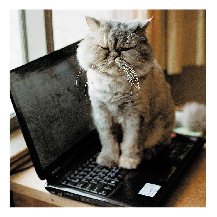 laptop Time Greeting Card