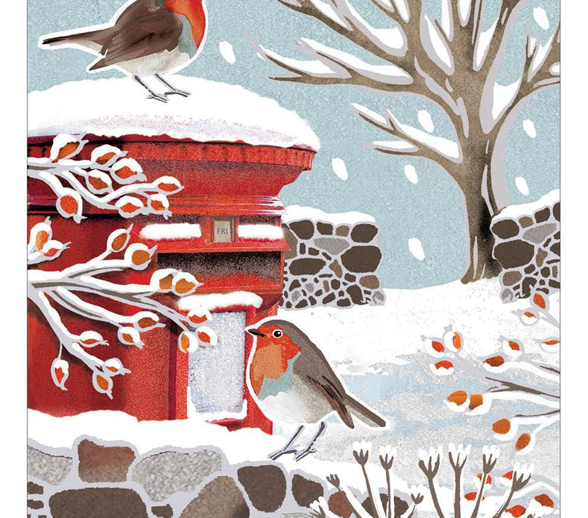 5 Postbox Robins Charity Christmas Cards - House of Cards
