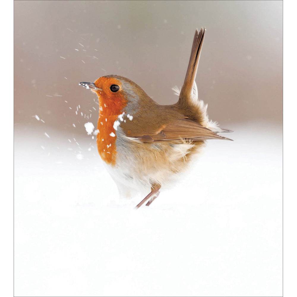 5 Robin Magic of Winter Christmas Cards - House of Cards