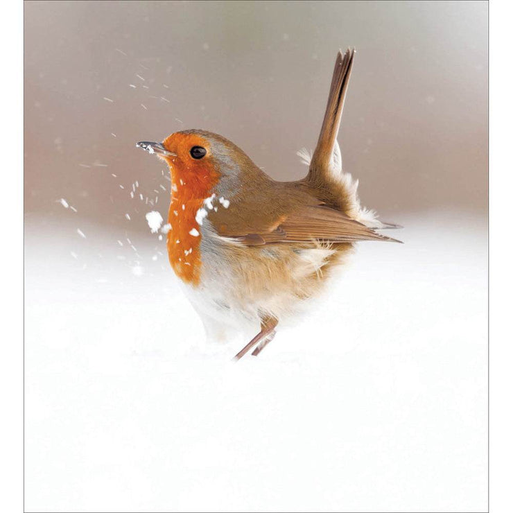5 Robin Magic of Winter Christmas Cards - House of Cards