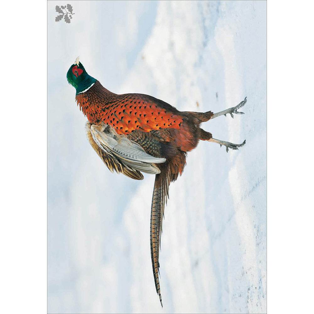 20 National Trust Charity Boxed Christmas Cards - House of Cards