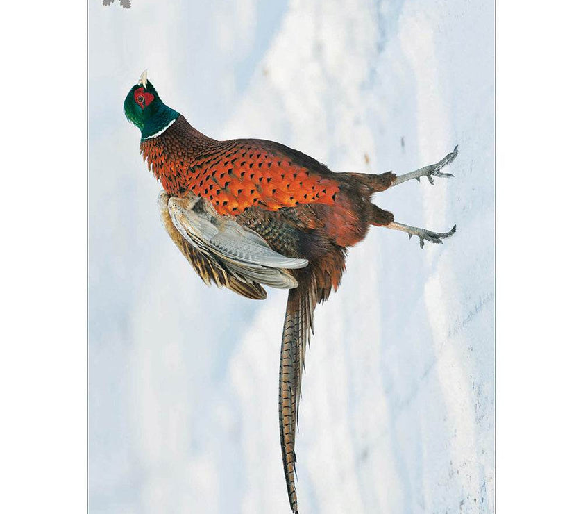 20 National Trust Charity Boxed Christmas Cards - House of Cards