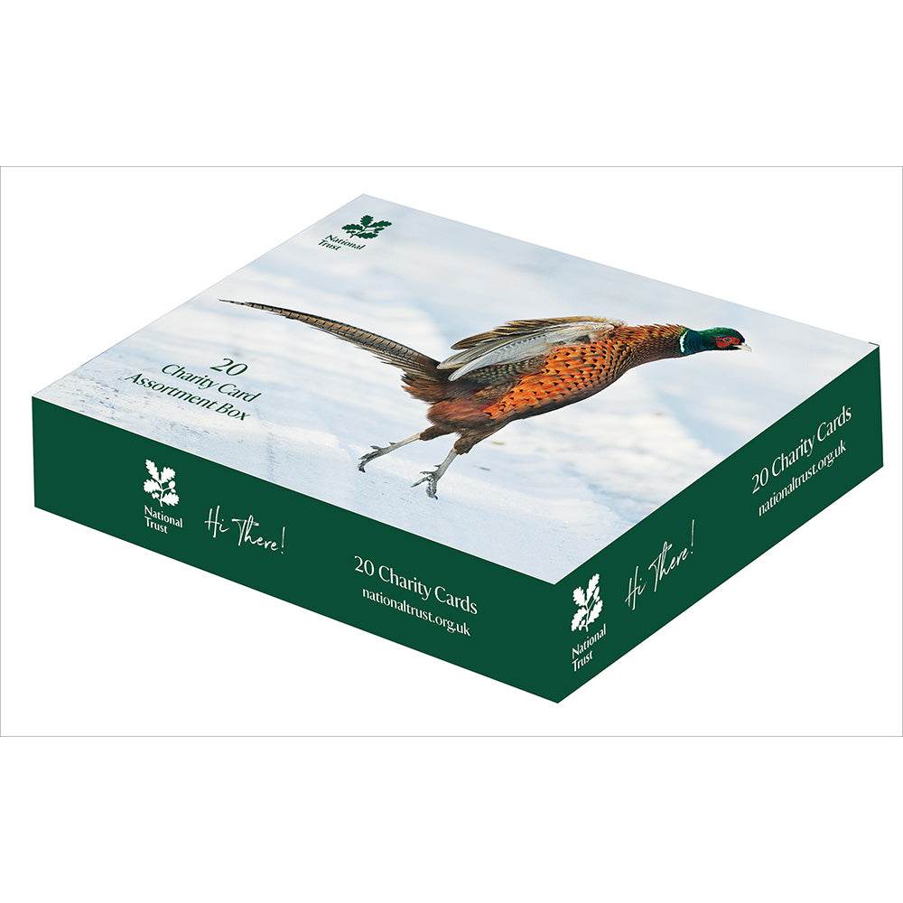 20 National Trust Charity Boxed Christmas Cards - House of Cards