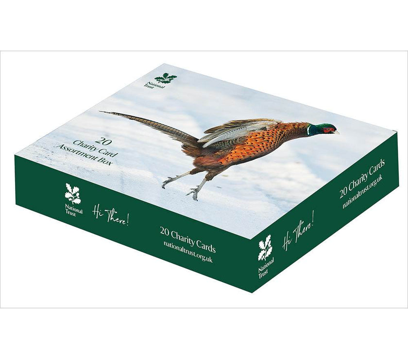 20 National Trust Charity Boxed Christmas Cards - House of Cards