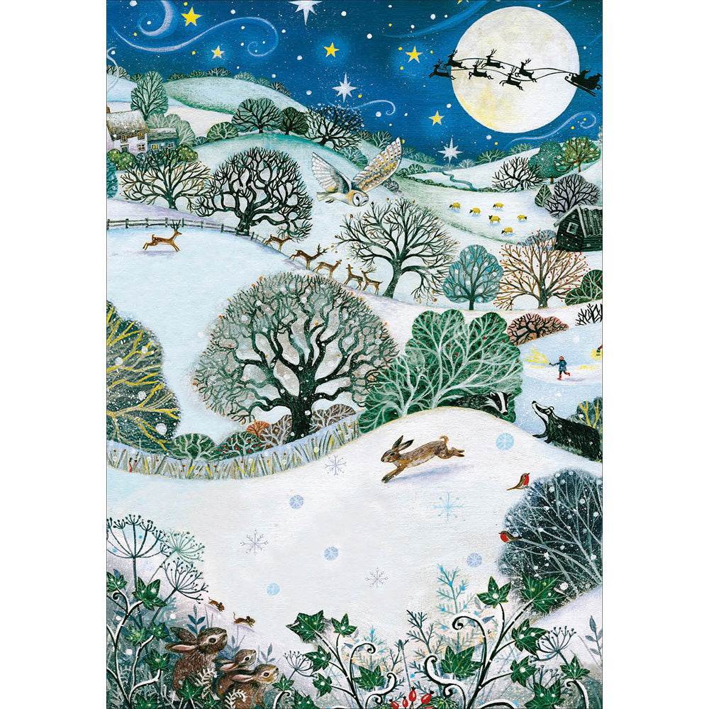 20 RSPB Charity Boxed Christmas Cards - House of Cards