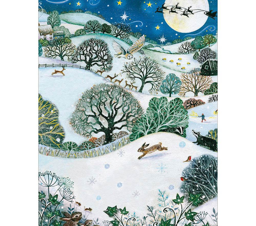 20 RSPB Charity Boxed Christmas Cards - House of Cards