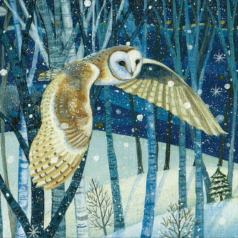 20 RSPB Charity Boxed Christmas Cards - House of Cards