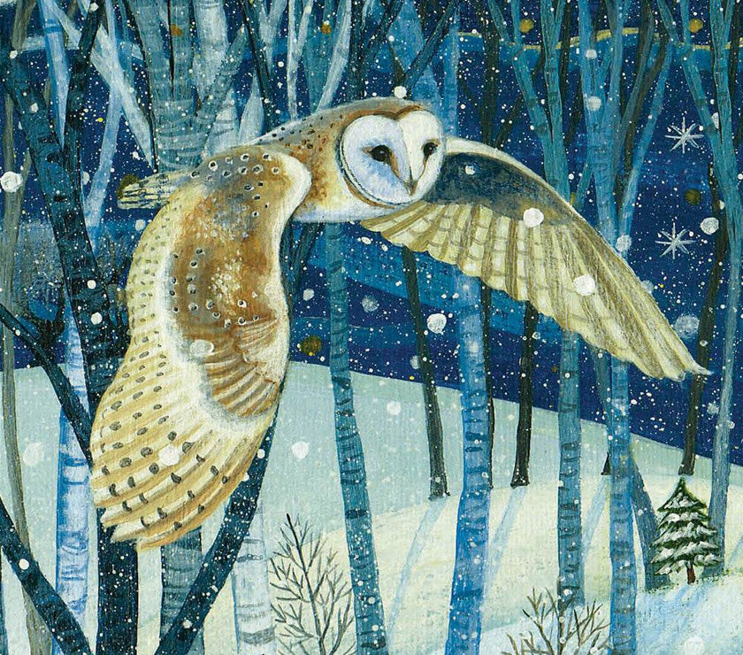20 RSPB Charity Boxed Christmas Cards - House of Cards