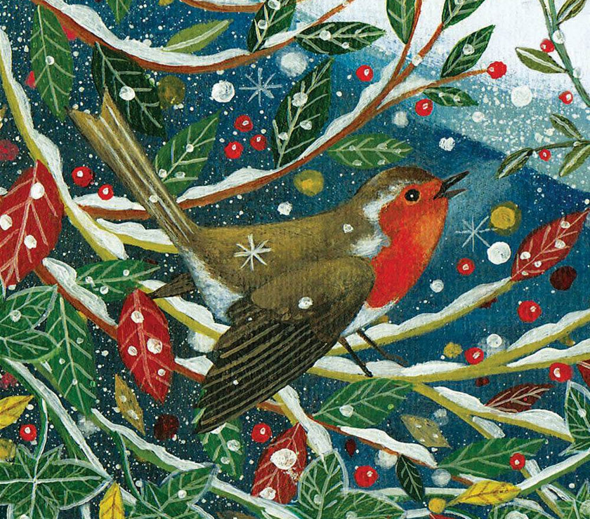 20 RSPB Charity Boxed Christmas Cards - House of Cards