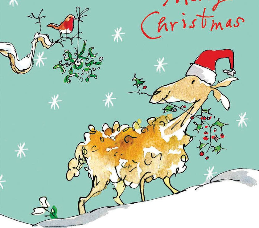 20 Quentin Blake Charity Boxed Christmas Cards - House of Cards