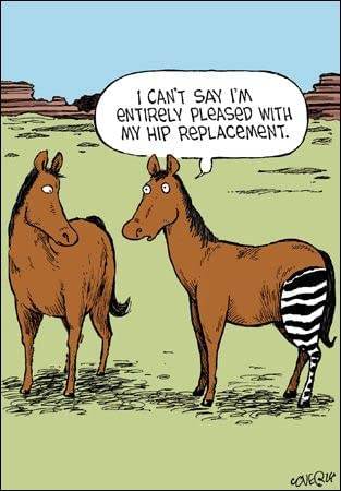 Hip Replacement Card - House of Cards