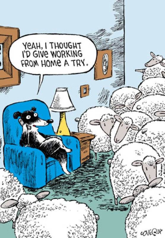 Working from Home Card - House of Cards