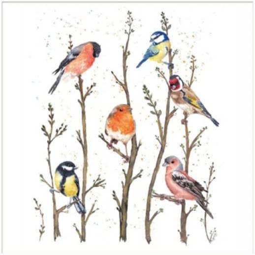 Millbank Birds Blank Greeting Card - House of Cards